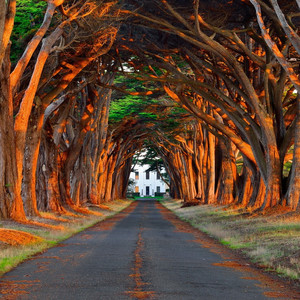 亲子乱子伦刺激
